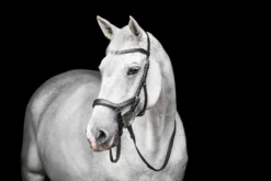 Trense Micklem 3 Competition Bridle, ohne Zügel