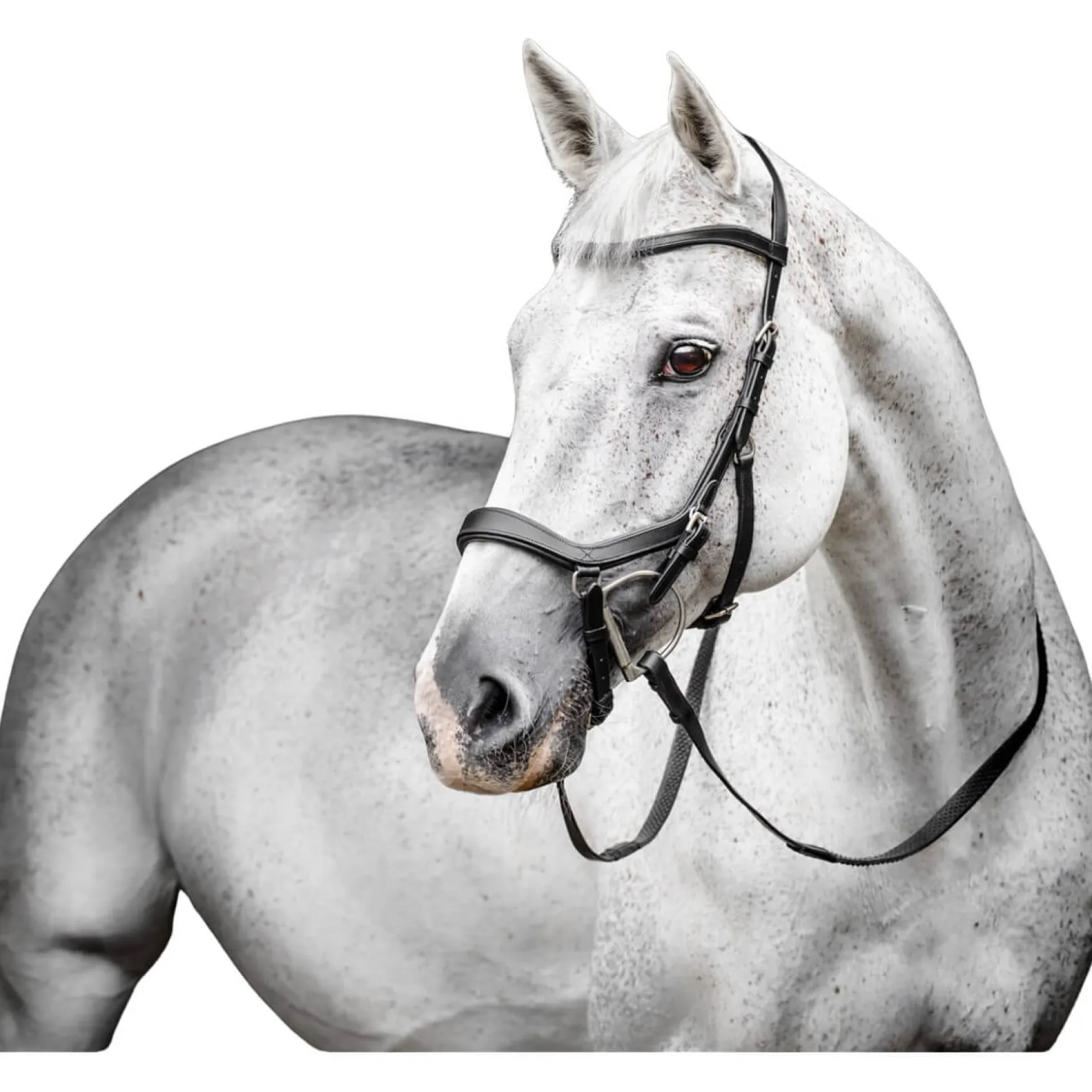 Trense Micklem 3 Competition Bridle, ohne Zügel