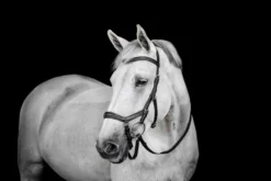 Trense Micklem 3 Deluxe Competition Bridle, ohne Zügel