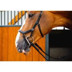 Trense Micklem 2 Diamante Competition Bridle
