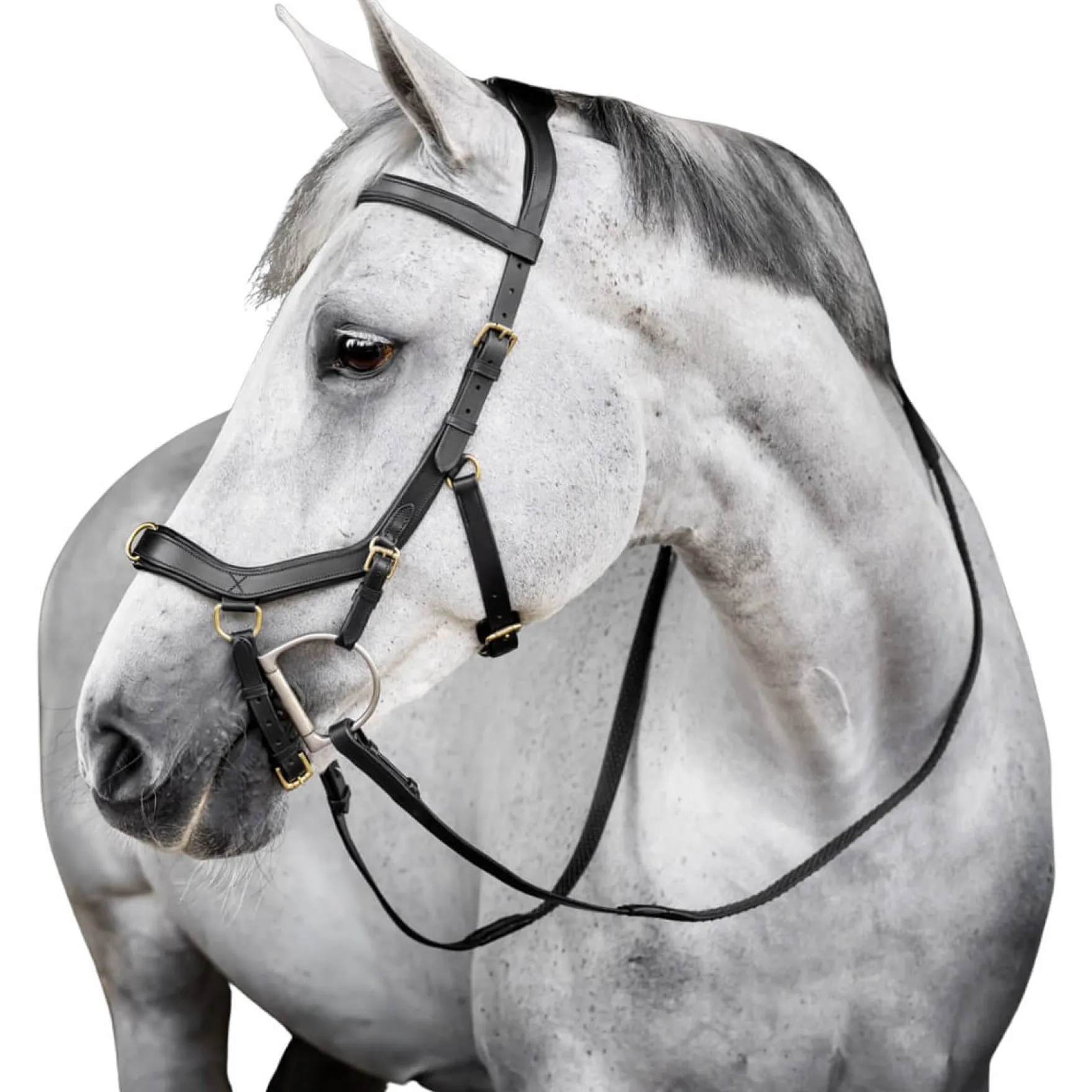 Trense Micklem 3 Multi Bridle, ohne Zügel