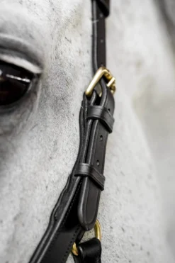 Trense Micklem 3 Multi Bridle, ohne Zügel