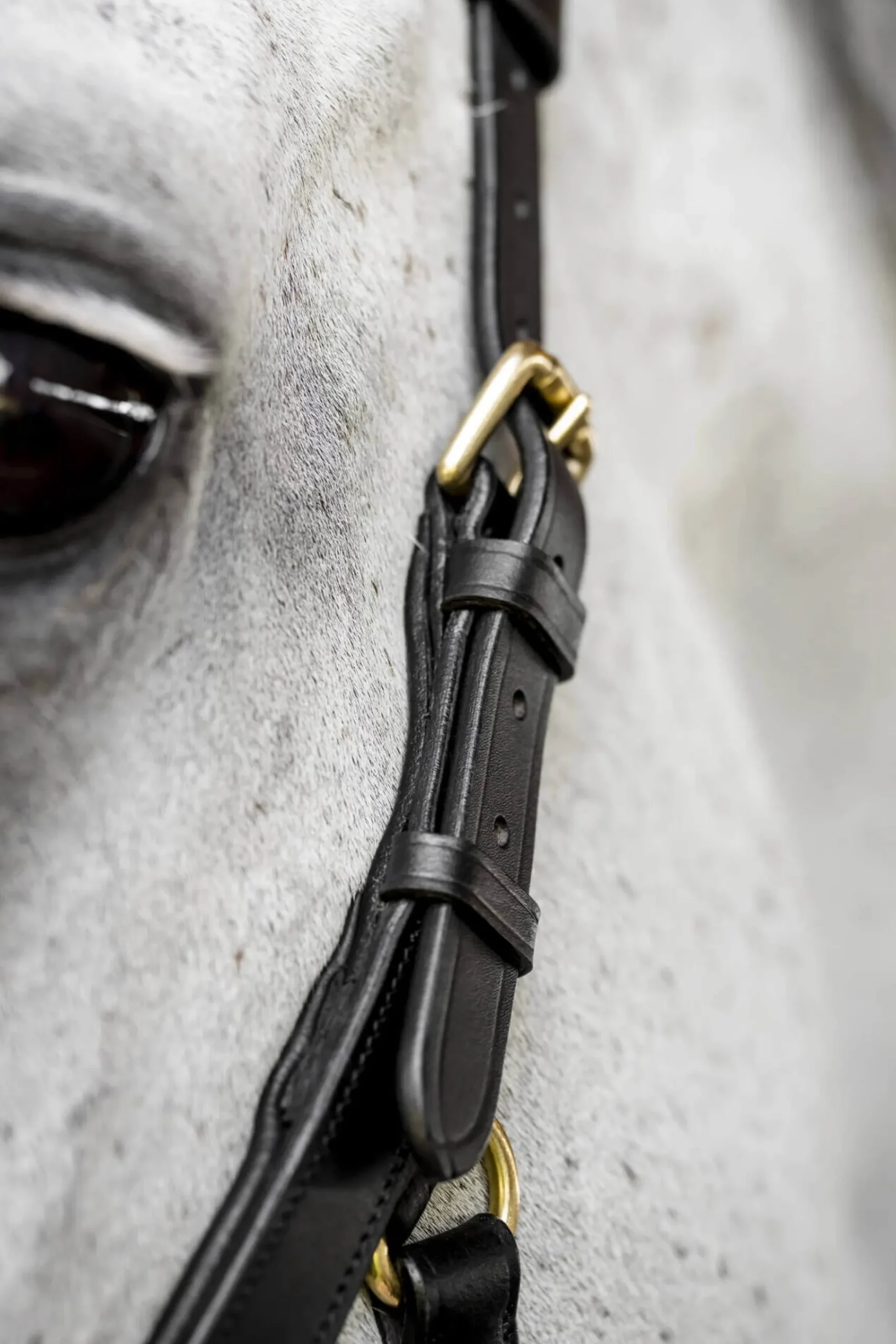 Trense Micklem 3 Multi Bridle, ohne Zügel