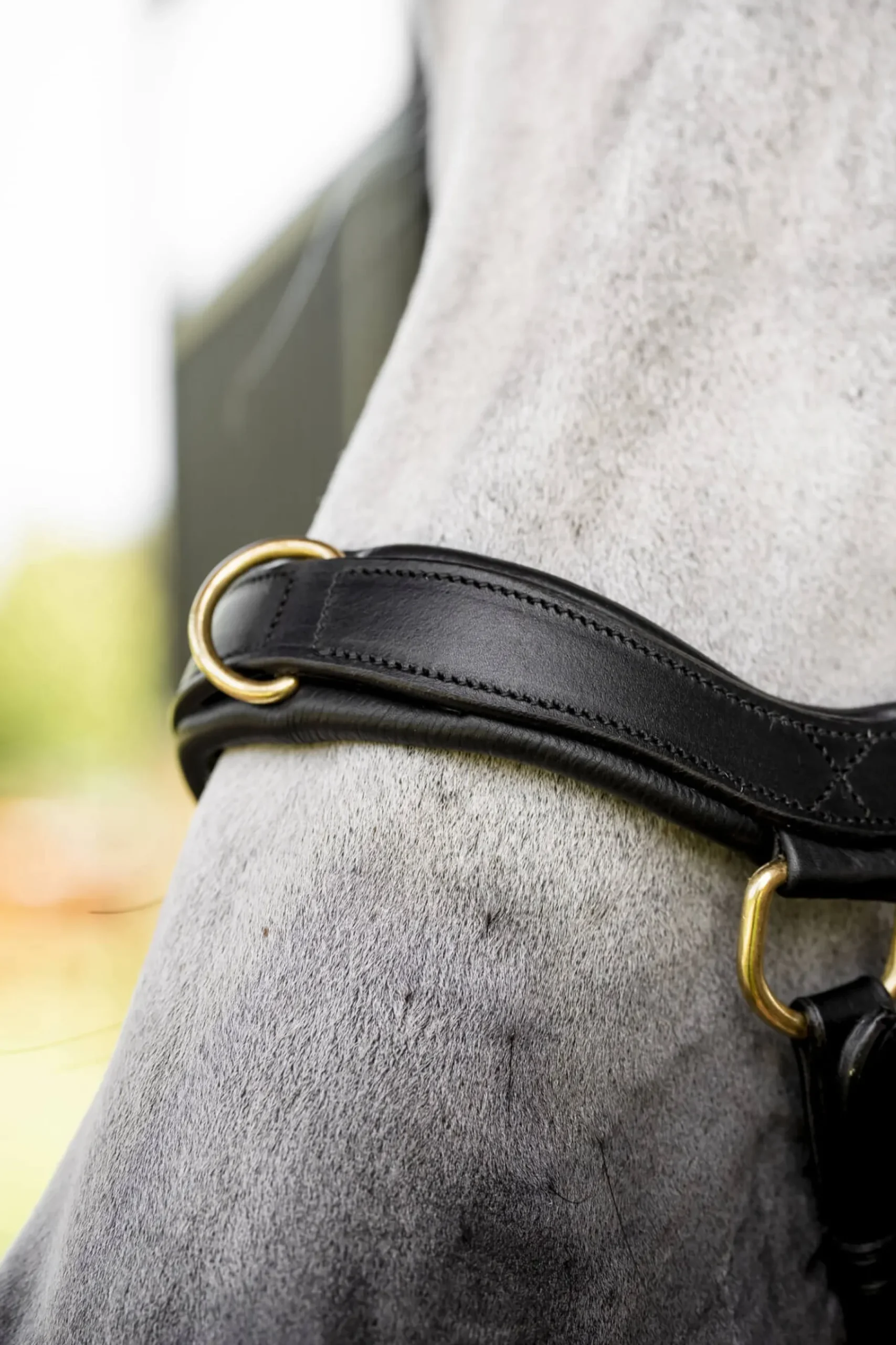 Trense Micklem 3 Multi Bridle, ohne Zügel