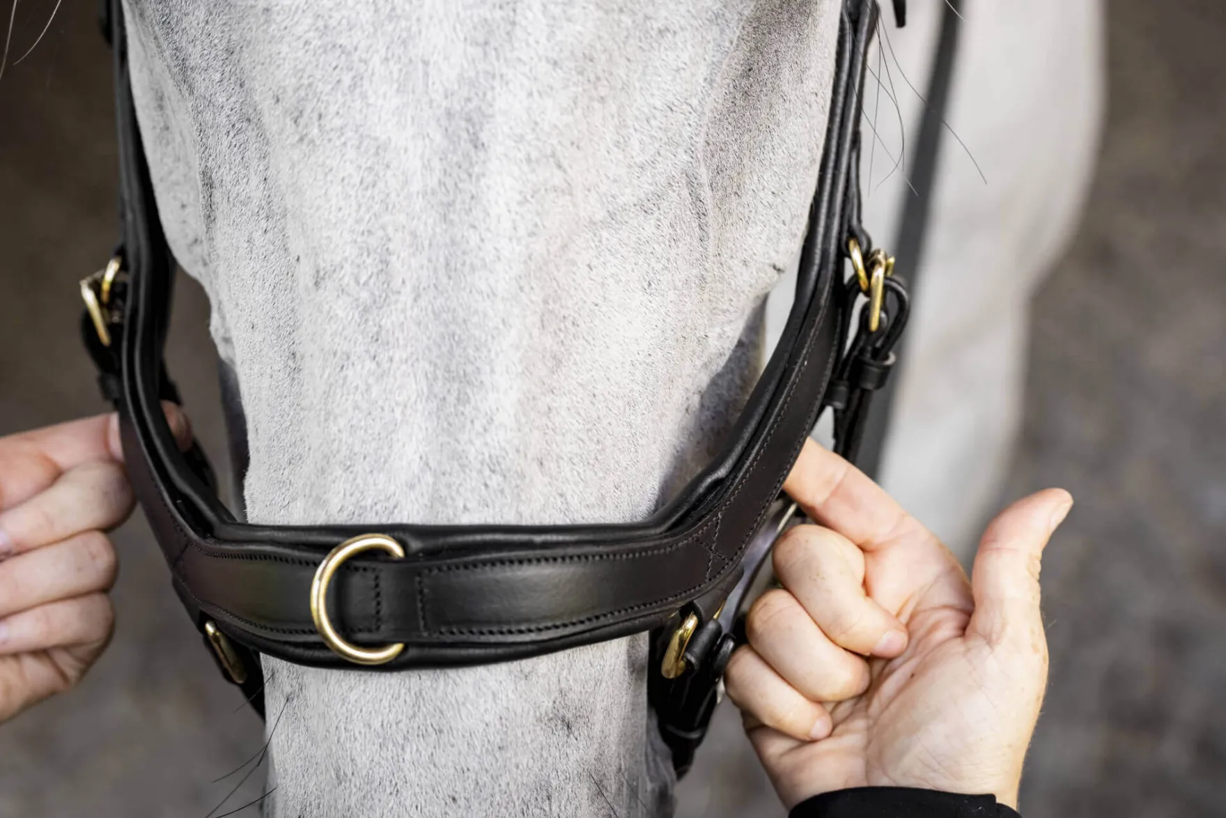 Trense Micklem 3 Multi Bridle, ohne Zügel
