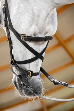 Trense Micklem 3 Multi Bridle, ohne Zügel