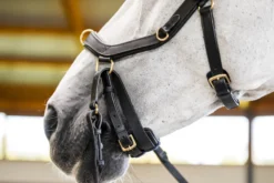 Trense Micklem 3 Multi Bridle, ohne Zügel