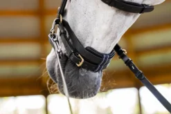 Trense Micklem 3 Multi Bridle, ohne Zügel