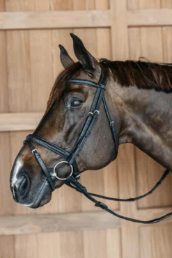 Trense Plaited Flash Noseband Bridle New English Collection, englisch kombiniert