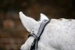 Trense Pony Flash FS26, schwedisch kombiniert, ohne Zügel