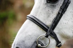 Trense Pony Flash FS26, schwedisch kombiniert, ohne Zügel