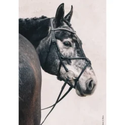 Trense Rio Select, mexikanisch