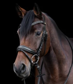 Trense S-Line Blackshine, schwedisch kombiniert