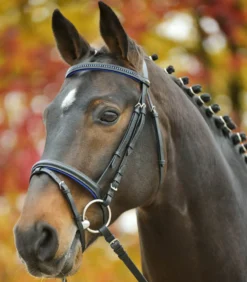 Trense Star Diamond, englisch kombiniert, mit Zügeln