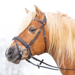 Trense Ultrasoft Haflinger, englisch kombiniert, mit Zügeln