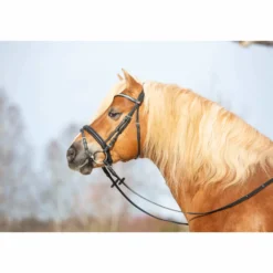 Trense Ultrasoft Haflinger Kristall, englisch kombiniert, mit Zügeln