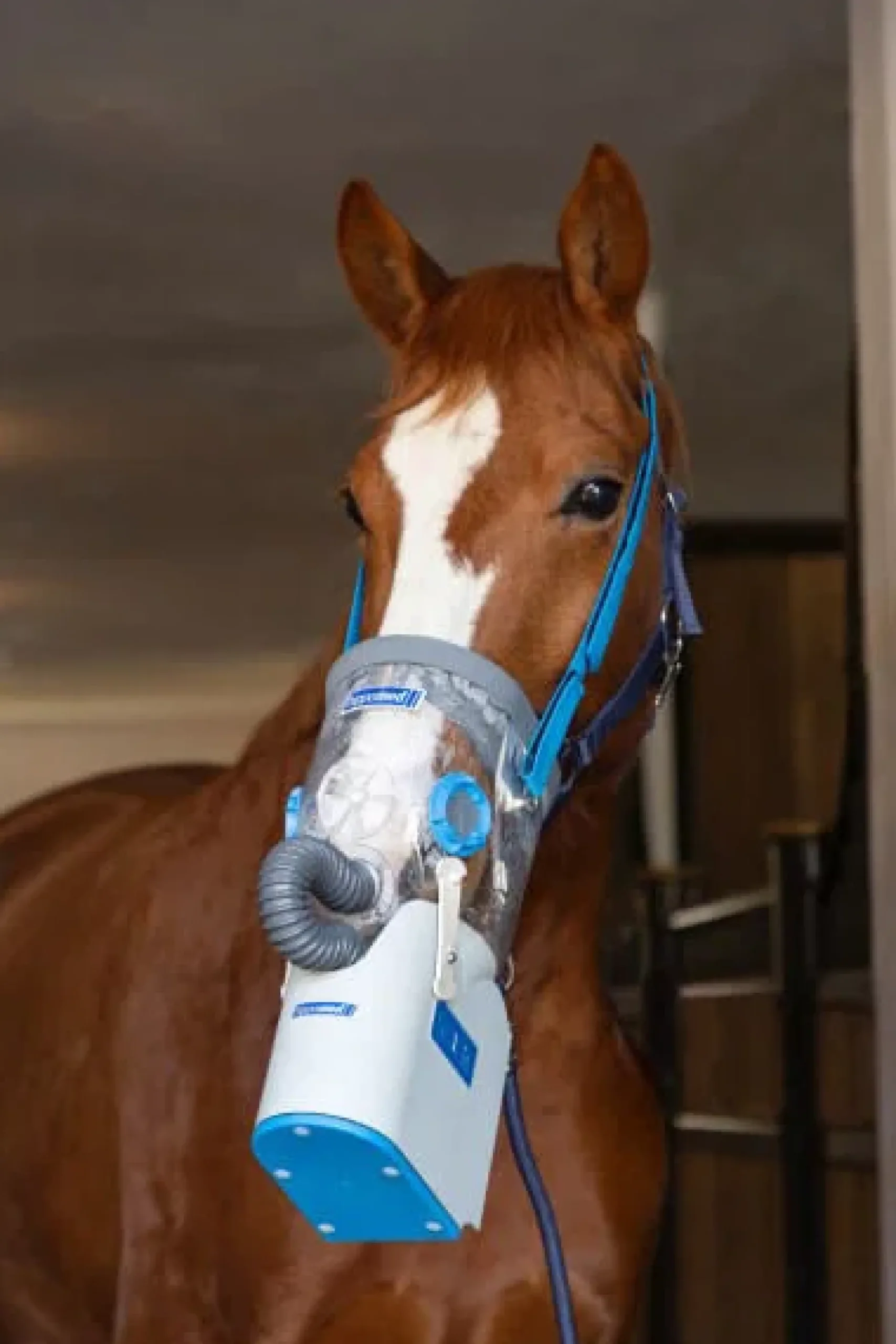 Ultraschall-Inhalator Air One Flex, Komplettset, inklusive Warmblutmaske