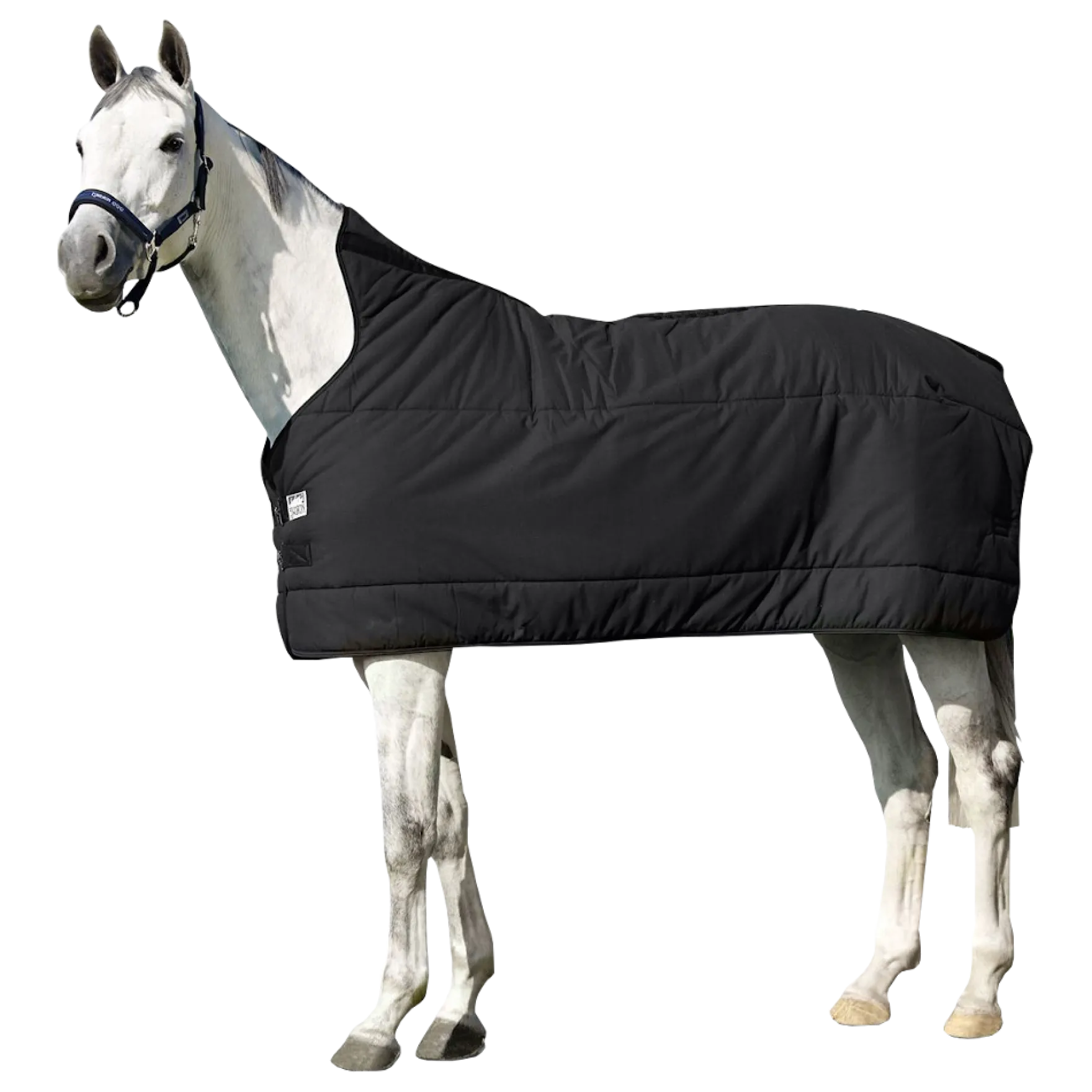 Unterdecke Thermo Cotton, 240 g, Winterdecke