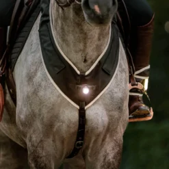 Vorderzeug Horselight, weiße Frontleuchte, Leuchtvorderzeug