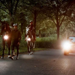 Vorderzeug Horselight, weiße Frontleuchte, Leuchtvorderzeug
