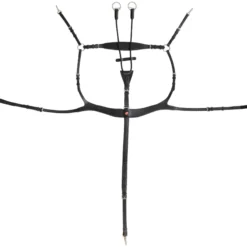 Vorderzeug Palmanova, 5-Punkt