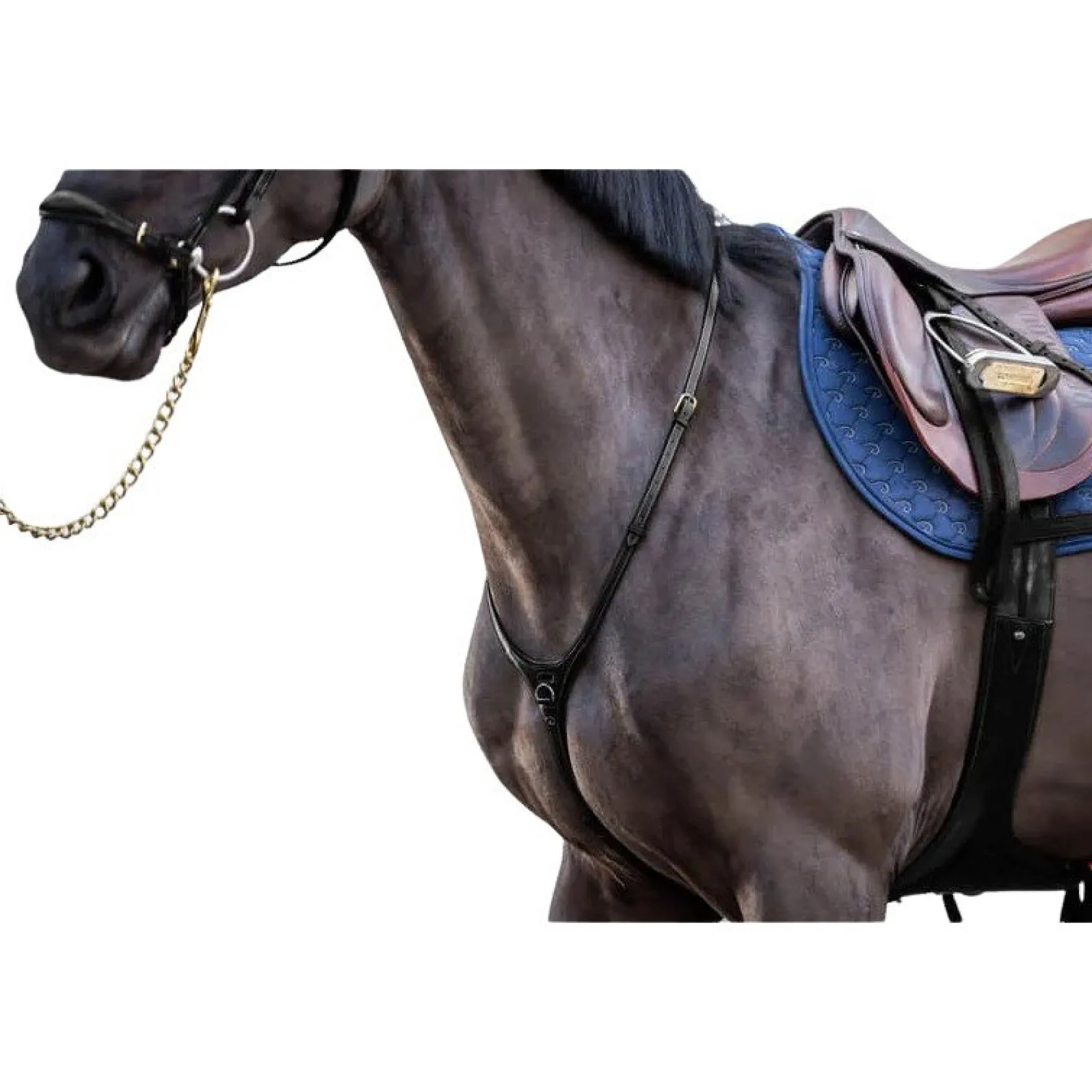 Vorderzeug Yoke DC