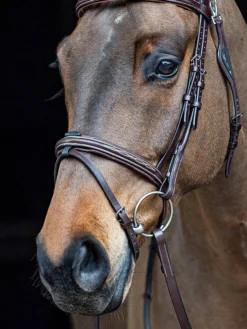 Wechselnasenriemen, mit abnehmbarer Gummischlaufe für den Sperrriemen