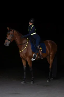 Weste, Funktionsweste LED